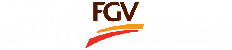 FGV praxis partners